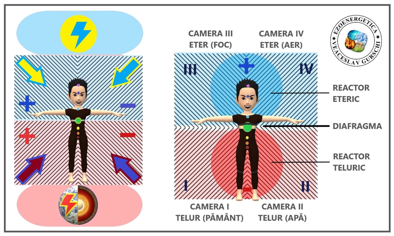 Curenții energetici și cele 4 camere