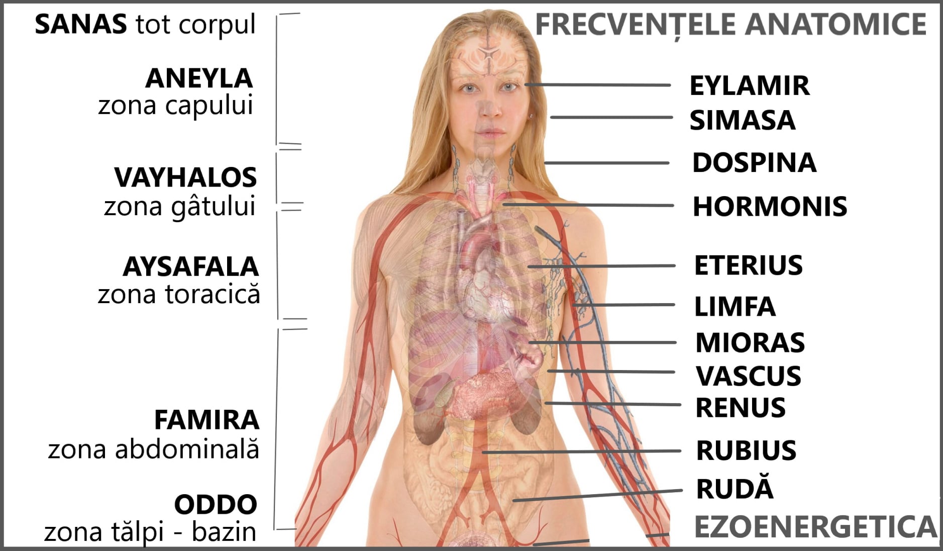 Grupul de frecvențe Sănătate
