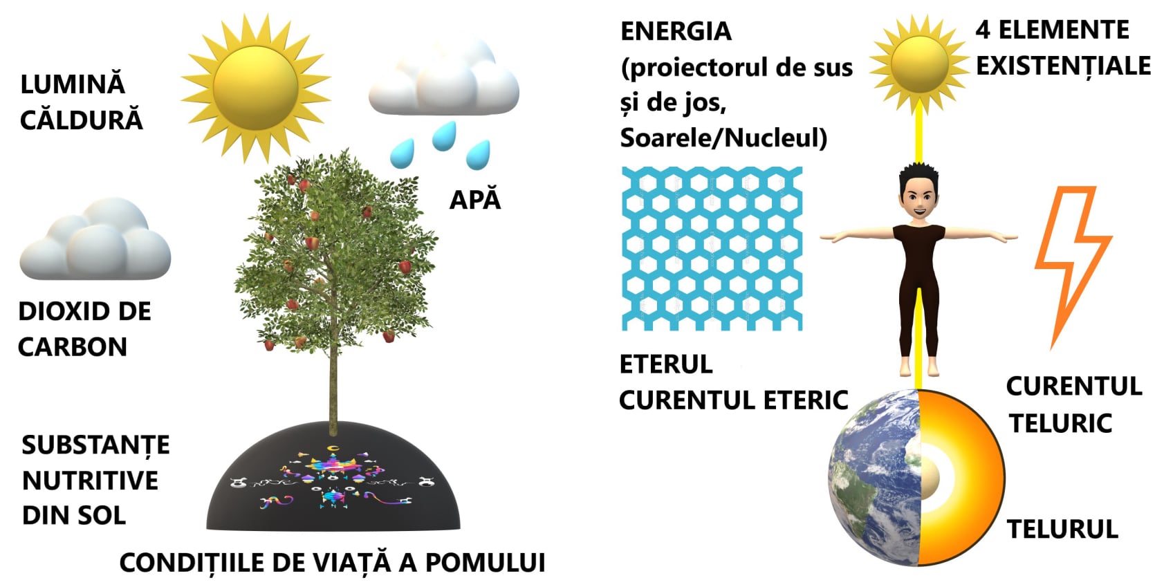 4 elemente esențiale