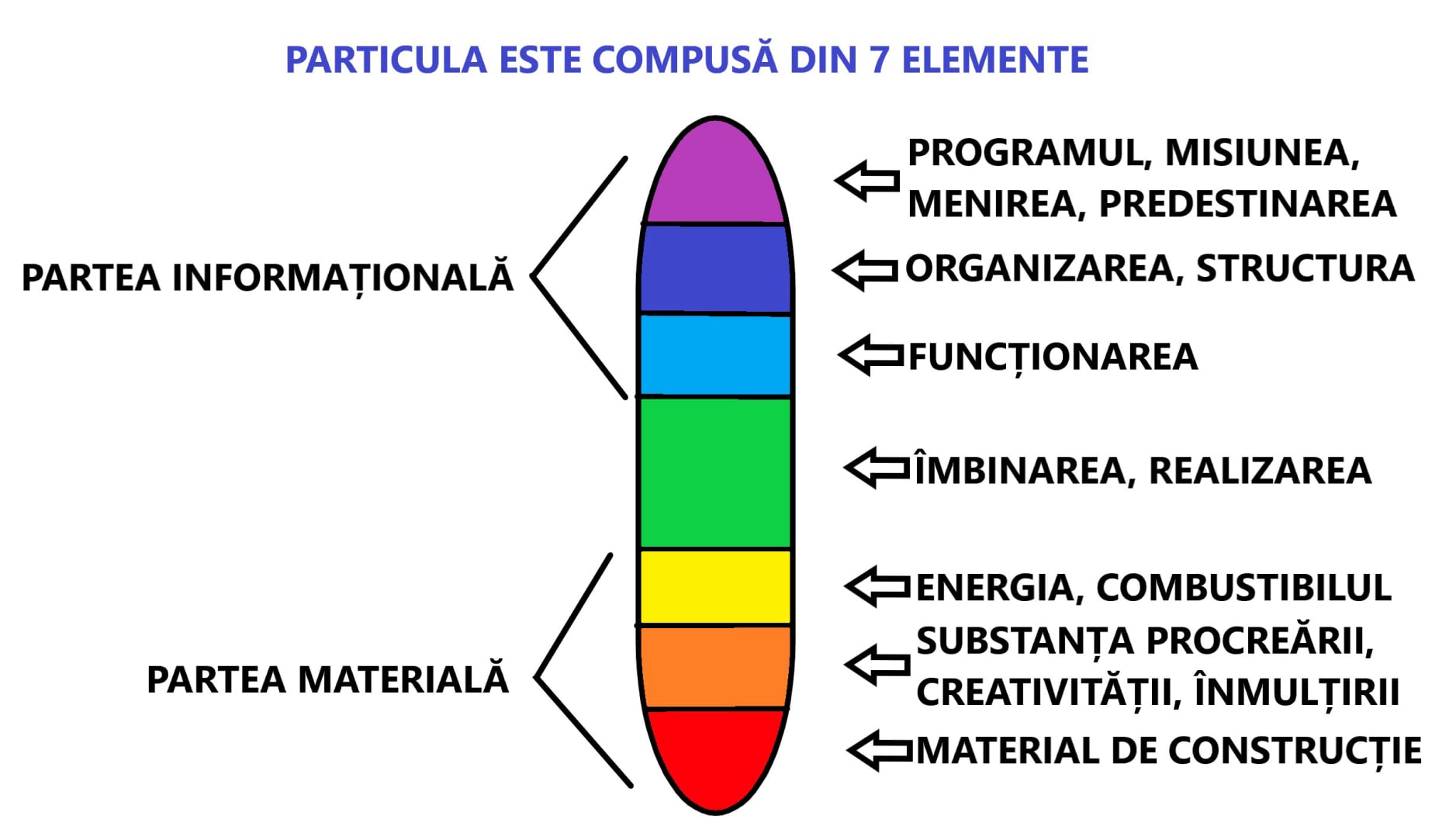 Particula